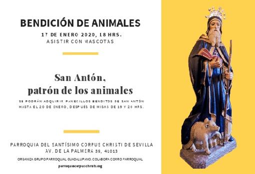 La parroquia del Corpus Christi anuncia la bendición de animales para el día 17 a las 18 horas