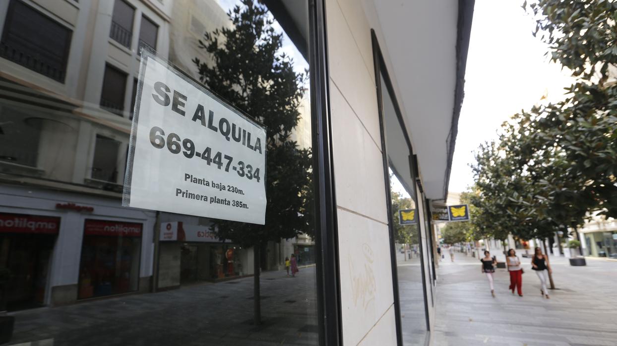 Local comercial en alquiler en el centro de la ciudad