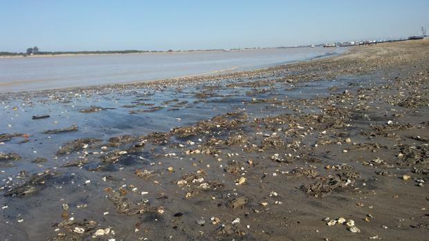 Ecologistas en Acción denuncia el vertido de aguas residuales a las playas de Sanlúcar