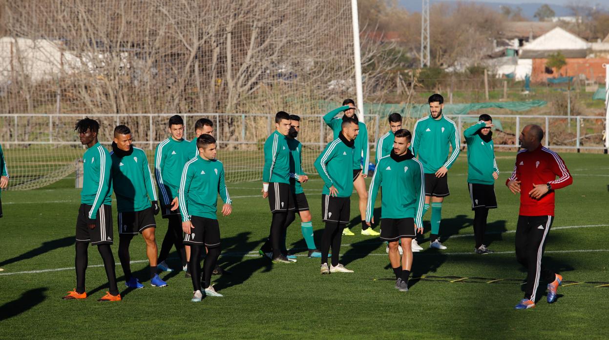 La plantilla del Córdoba CF, en un entrenamiento en la Ciudad Deportiva