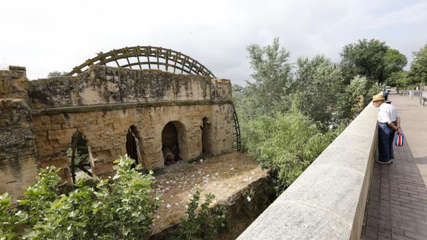 El Ayuntamiento de Córdoba emprenderá la restauración de la noria de la Albolafia