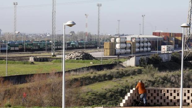 Laumar y el gigante MSC esperan doblar el tráfico de contenedores en la estación de mercancías de Córdoba