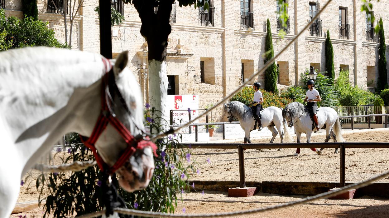 Un entrenamiento en las Caballerizas Reales