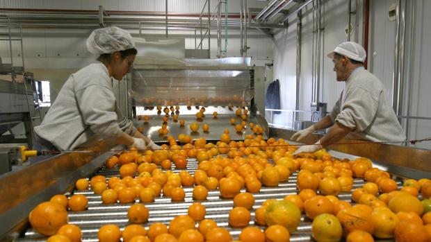 El precio de los productos del campo en Córdoba suben  seis veces en las tiendas