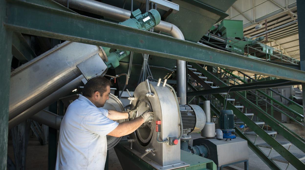 Laboras de mantenimiento en una almazara