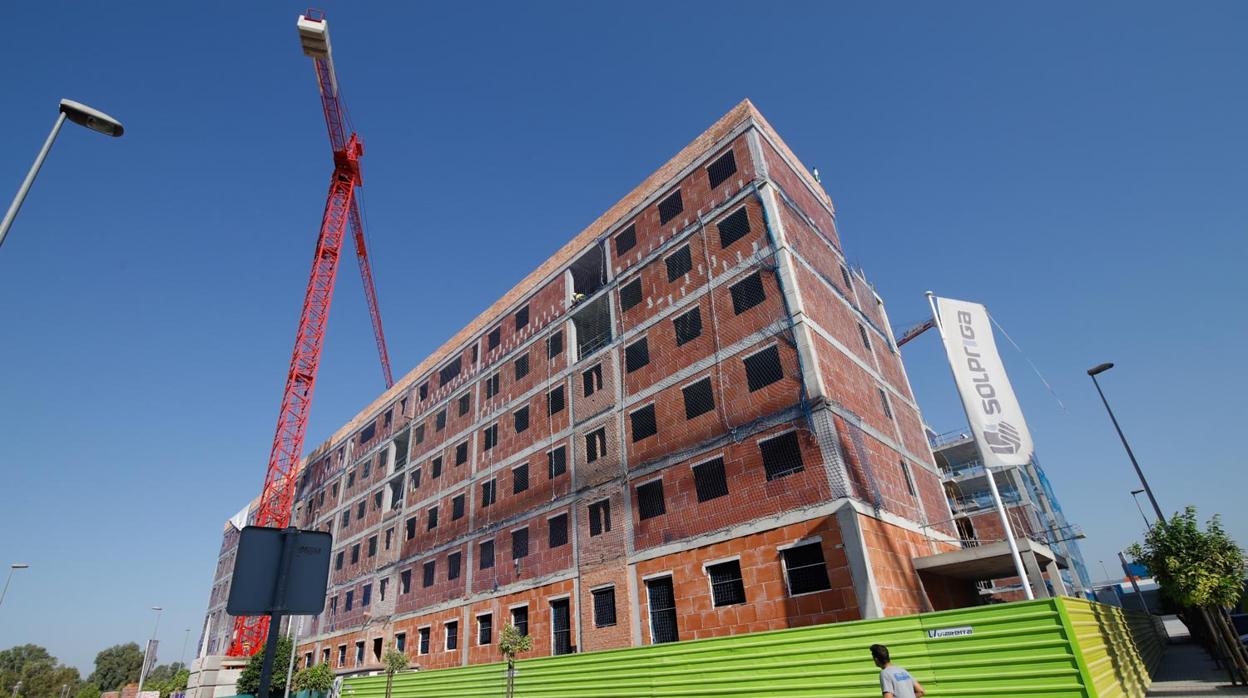 Viviendas en construcción en la zona de Poniente