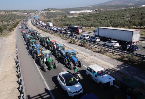 El campo cordobés saca músculo | Agricultores y ganaderos colapsan la A-45 para exigir precios dignos