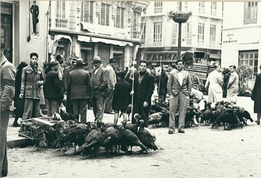 Venta de pavos en Navidad en la plaza de Félix Sáenz