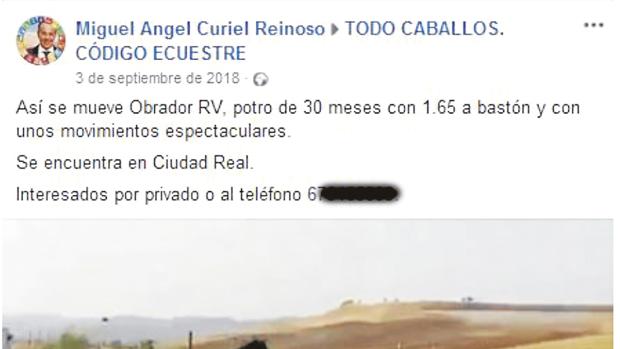 El alcalde socialista de Hinojos usa el móvil municipal para comprar y vender potros de pura raza