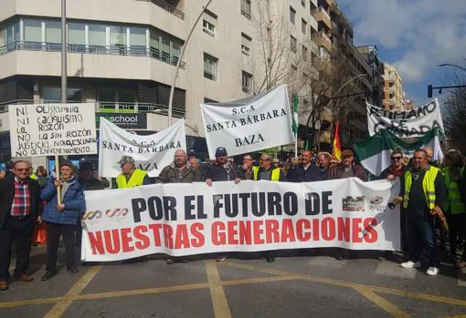 Los manifestantes recorren el centro de Granada.