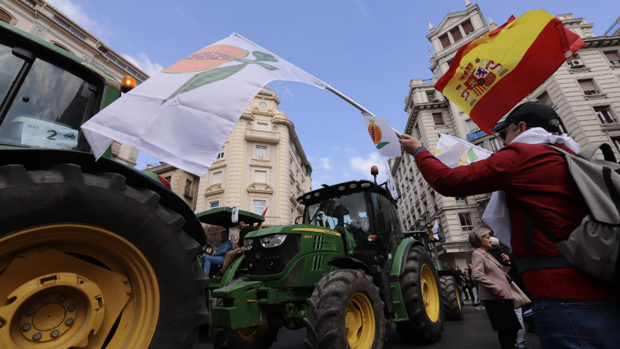 La Junta reclama al Gobierno que negocie una PAC beneficiosa para Andalucía