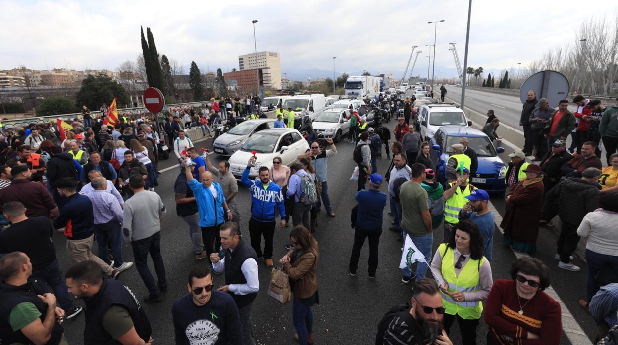 Multitud de manifestantes a pie han cortado la circunvalación en Granada.