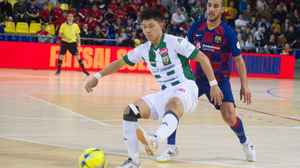 El japonés Shimizu, del Córdoba Patrimonio de la Humanidad, este domingo, en el Palau, ante el Barcelona