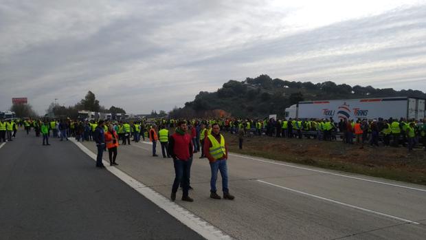 La Guardia Civil lanza pelotas de goma y botes de humo a los agricultores que cortan la A-4 en Jaén