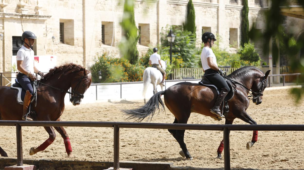 Jinetes se ejercitan en las Caballerizas Reales de Córdoba