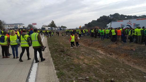 El Gobierno cifra en 120.000 euros los daños ocasionados por las protestas olivareras en la N-IV