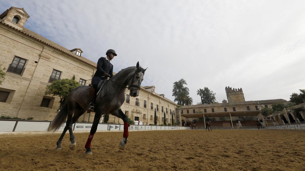 Un jinete, con su equino, en las Caballerizas Reales de Córdoba