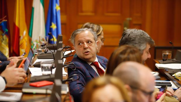 El Pleno ratifica la legalidad de las ordenanzas  municipales de Córdoba