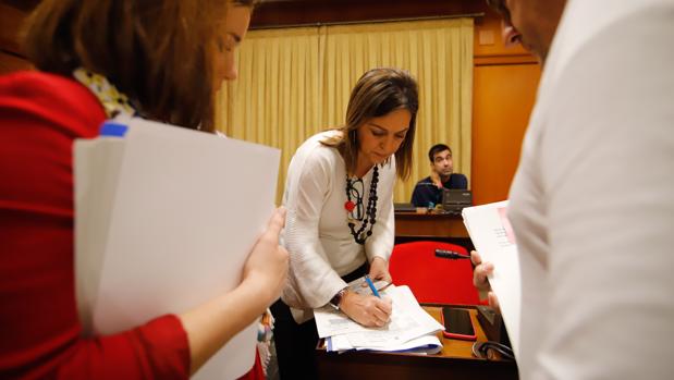 El PSOE llevó a los tribunales las ordenanzas de Córdoba antes del Pleno