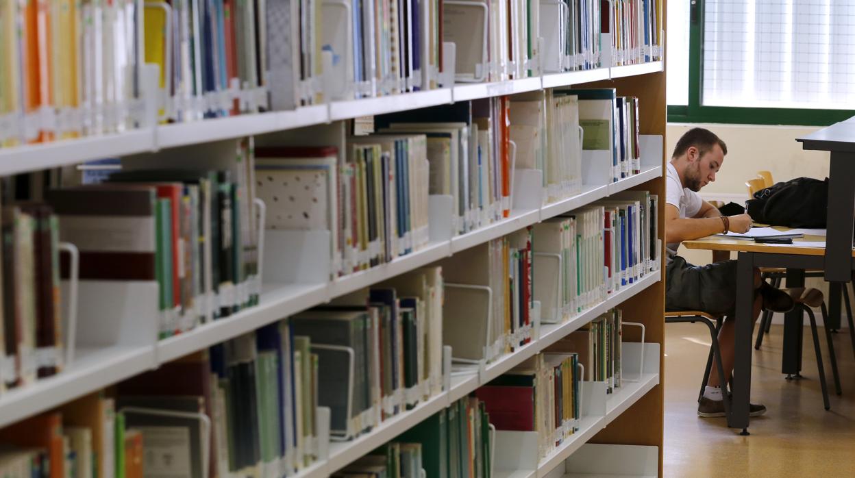 Un estudiante en la biblioteca del campus de Rabanales de la Universidad de Córdoba