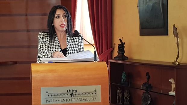 El Parlamento suspende toda su actividad mientras dure el Estado de Alarma