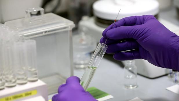 Andalucía suma 1.961 casos de coronavirus y 58 muertos