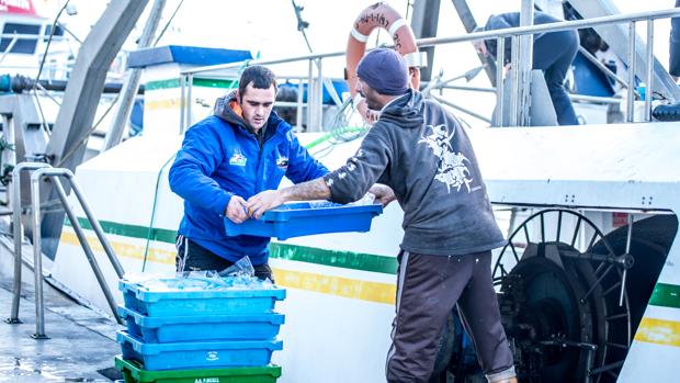 Pescadores de Huelva reaccionan al Covid-19: la subasta de la lonja en Ayamonte será online