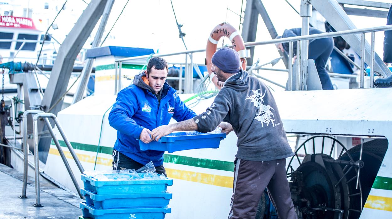 Pescadores de Punta del Moral descargan las capturas del barco