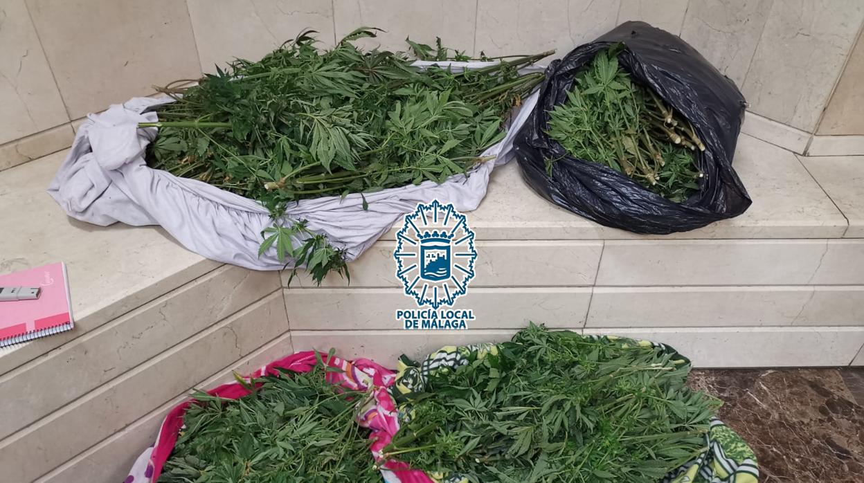 Marihuana incautada dentro del coche en Málaga