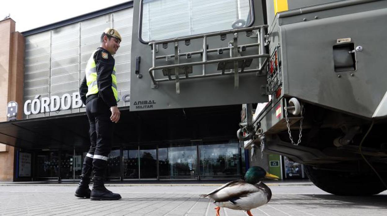 Un miembro de la UME, durante las labores de desinfección en la Estación de Córdoba el pasado 21 de marzo