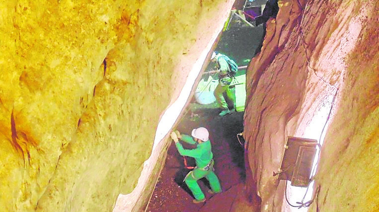 Labores de investigación y conservación en la Cueva