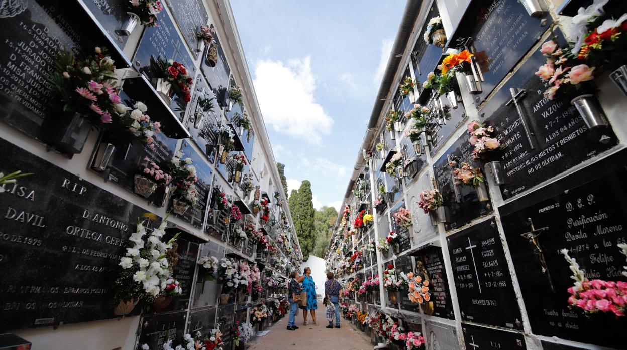 Nichos en el cementerio de San Rafael en Córdoba