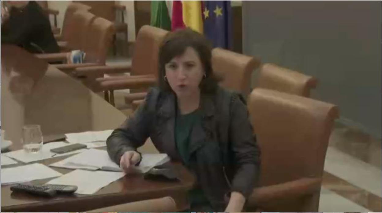La delegada del Gobierno en Andalucía, Sandra García, durante la reunión telemática