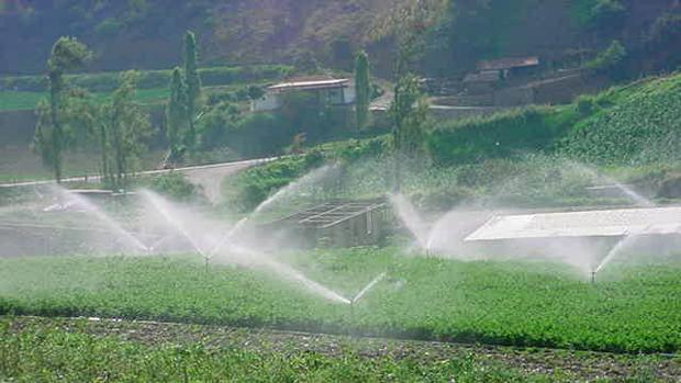 Los regantes del Guadalquivir dispondrán de un 20% menos de agua por la sequía en Andalucía