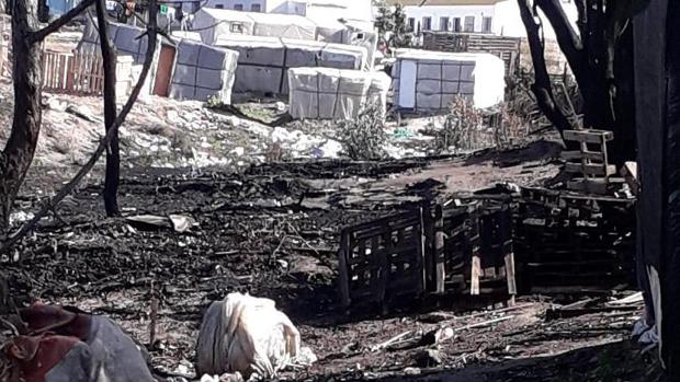 Demandan un plan de emergencia para inmigrantes en Palos de la Frontera y medidas frente al Covid-19