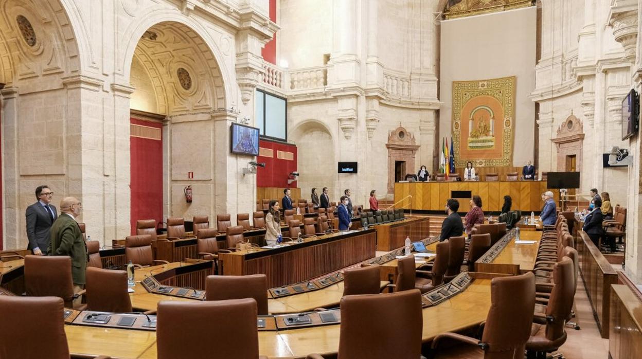 La Diputación Permanente del Parlamento guardó un minuto de silencio por las víctimas del coronavirus