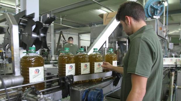 La campaña de la aceituna cierra en Córdoba con un 46,8 por ciento menos de producción de aceite