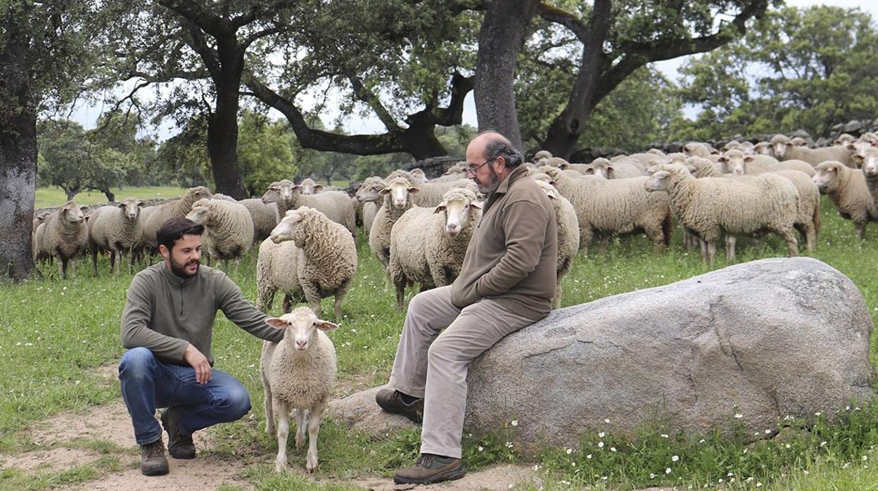 Antonio Jesús, junto a su padre y a un rebaño de ovejas