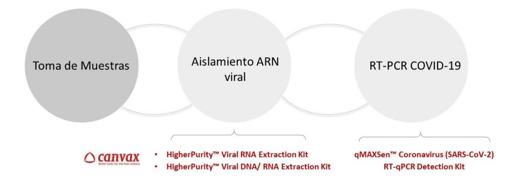 Fases del diagnóstico por PCR: el kit de Canvax se ocupa del proceso intermedio de aislamiento