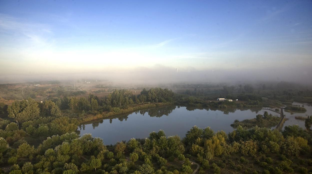 Corredor verde del río Guadiamar, afectado por el vertido