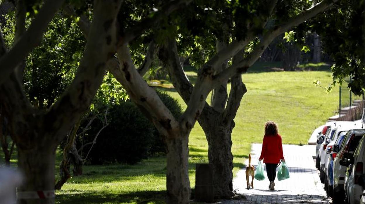 Una mujer camina con su perro y bolsas de la compra por el Parque Cruz Conde esta semana