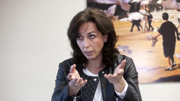 El PP de la Diputación de Córdoba pide un plan de seguridad para las obras del antiguo PER