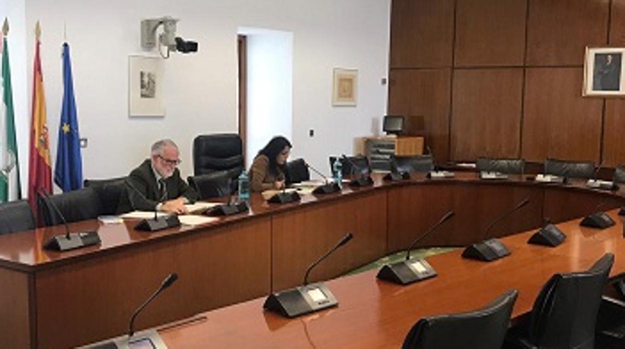 La presidenta del Parlamento, Marta Bosquet, y el letrado mayor, Vicente Perea, en la junta de portavoces telemática de este miércoles