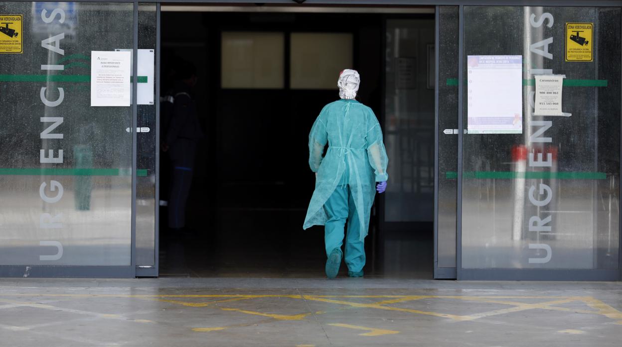 Un profesional sanitario entra en el hospital Reina Sofía de Córdoba