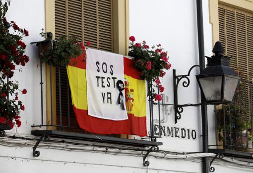 Un balcón con la enseña nacional, un lazo negro y una llamada a que se hagan test masivos