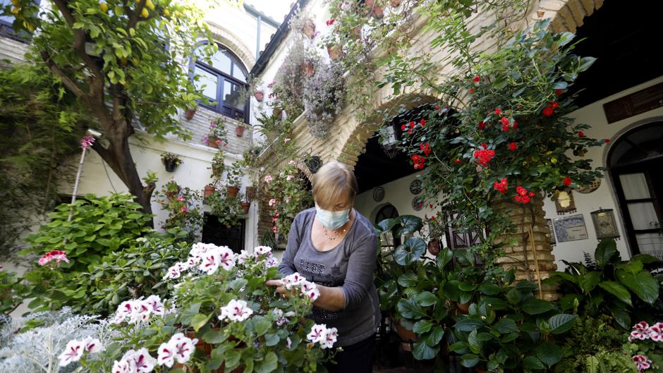 De Parras a Diego Méndez, las casas veteranas de Córdoba en la desdicha y dicha de los siglos