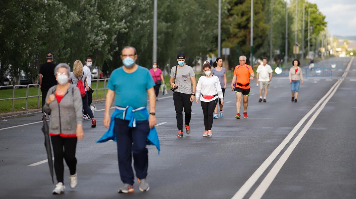 Un grupo de viandantes en una de las avenidas peatonalizadas en la capital cordobesa