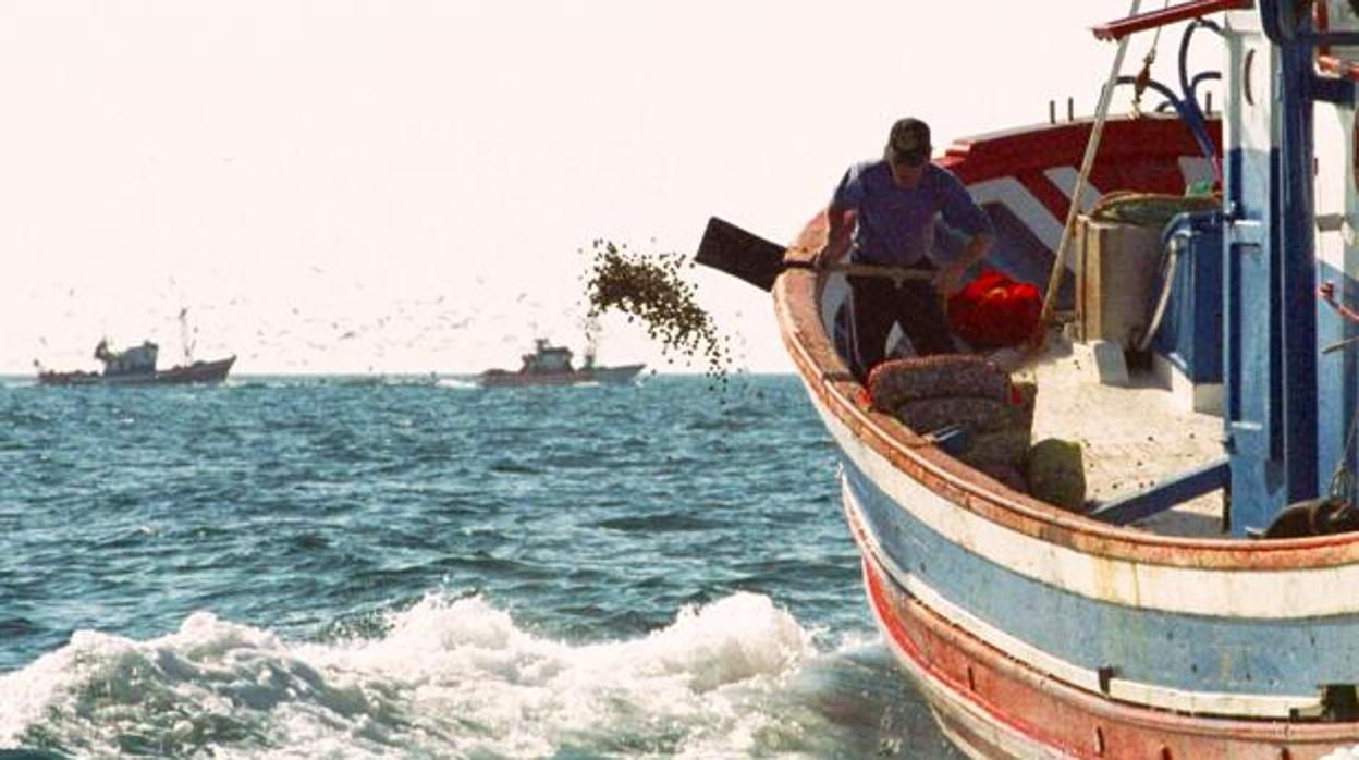 Un pescador faenando