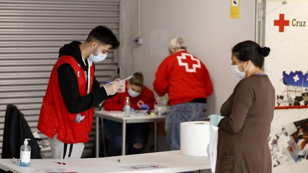 Cruz Roja retoma en Córdoba el reparto de vales de comida para 1.300 familias necesitadas