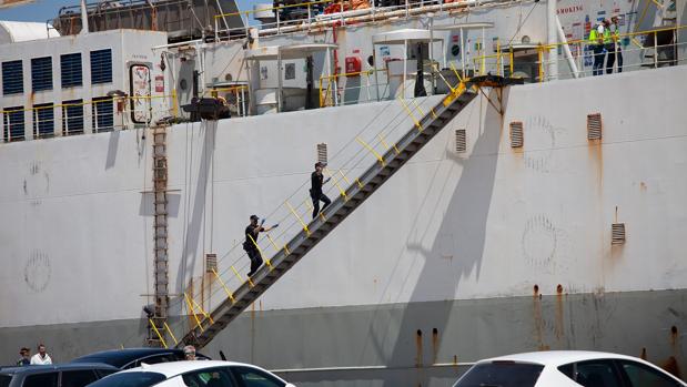 La búsqueda de cocaína en un buque en el puerto de Algeciras cargado de reses termina sin resultados